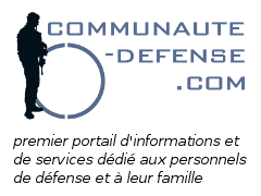 Site communautaire (défense)
