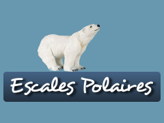 Excursions polaires