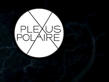 Plexus Polaire